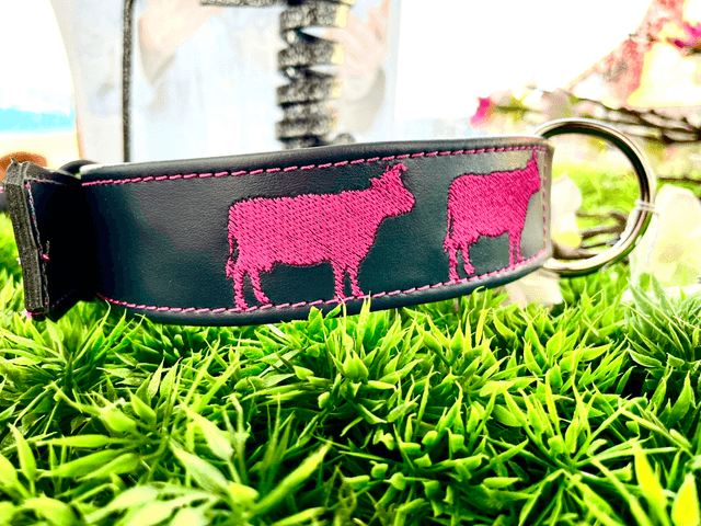 Colliers pour chien - L'atelier du Miscal