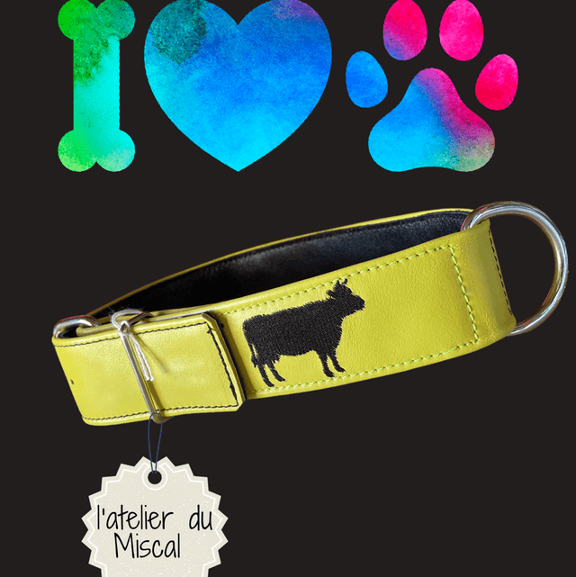Colliers pour chien - L'atelier du Miscal