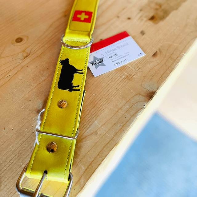 Colliers pour chien - L'atelier du Miscal